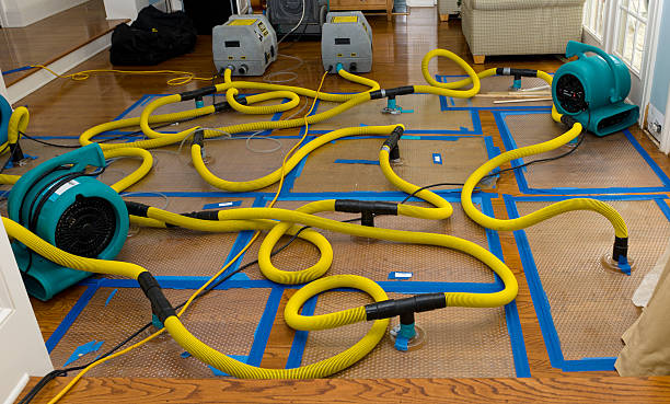 Professional Storm Water Damage Restoration technician working in Cairo, NE